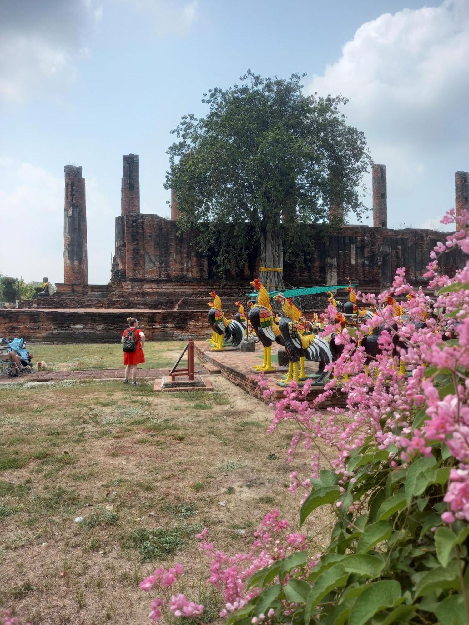 Plus Hostel Ayutthaya Eksteriør bilde